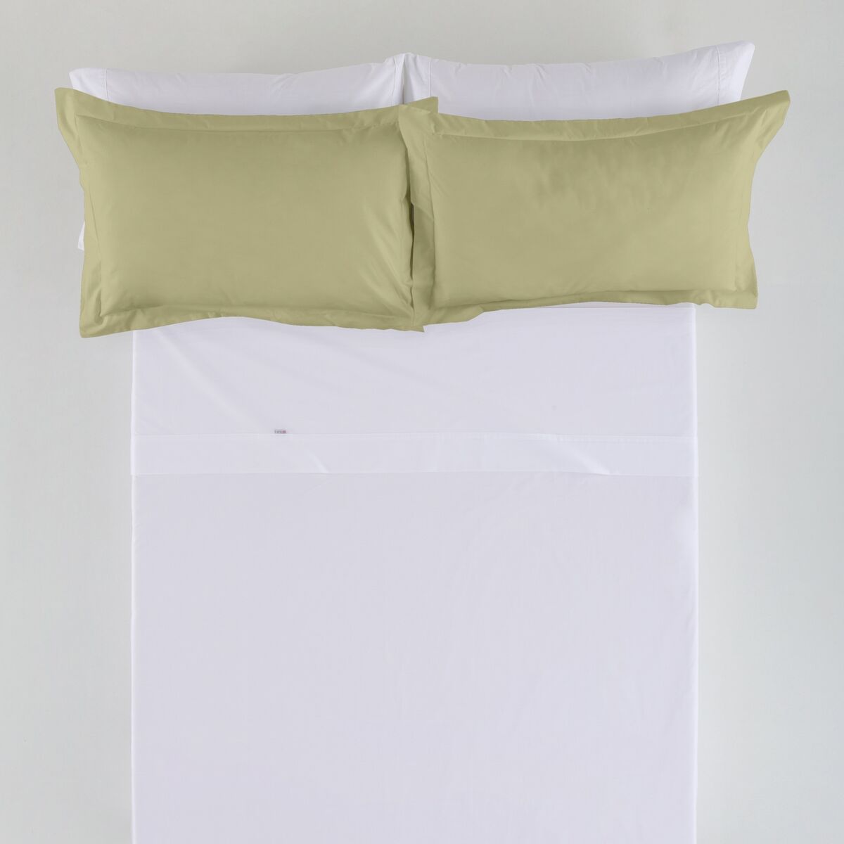 בית אלכסנדרה חי בז 'קאמל 55 x 55 + 5 ס 