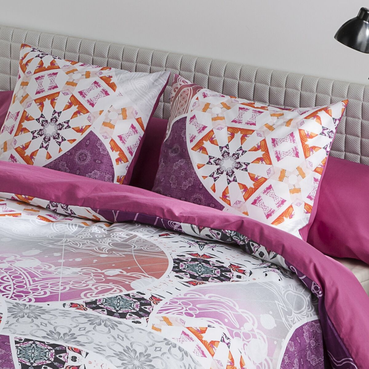 אלכסנדרה בית חי אזהרה 50 x 50 ס 