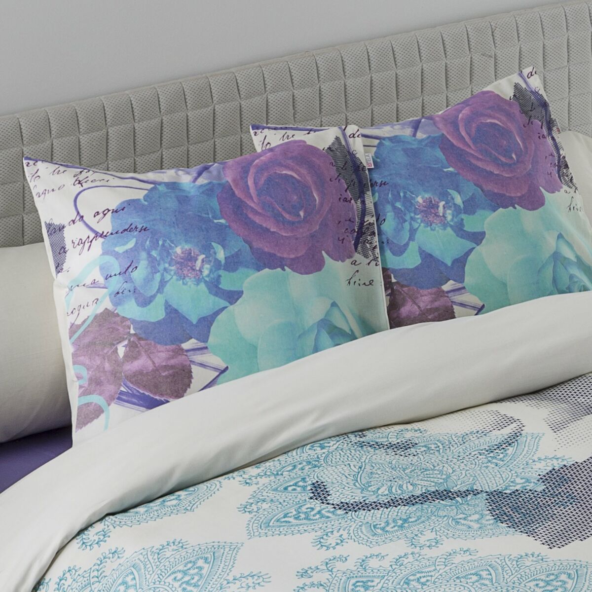 בית אלכסנדרה חי לונדון 50 x 50 ס 