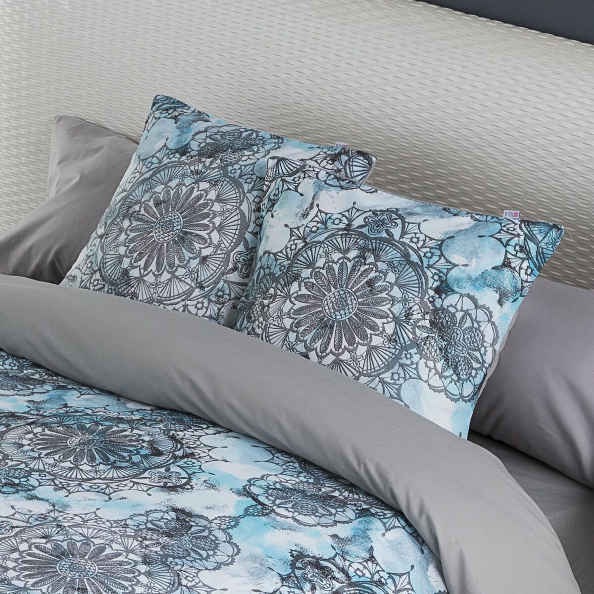 אלכסנדרה בית חי קזיה 50 x 50 ס 