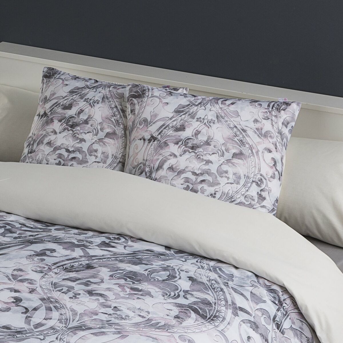 אלכסנדרה בית חי עקילס 50 x 50 ס 