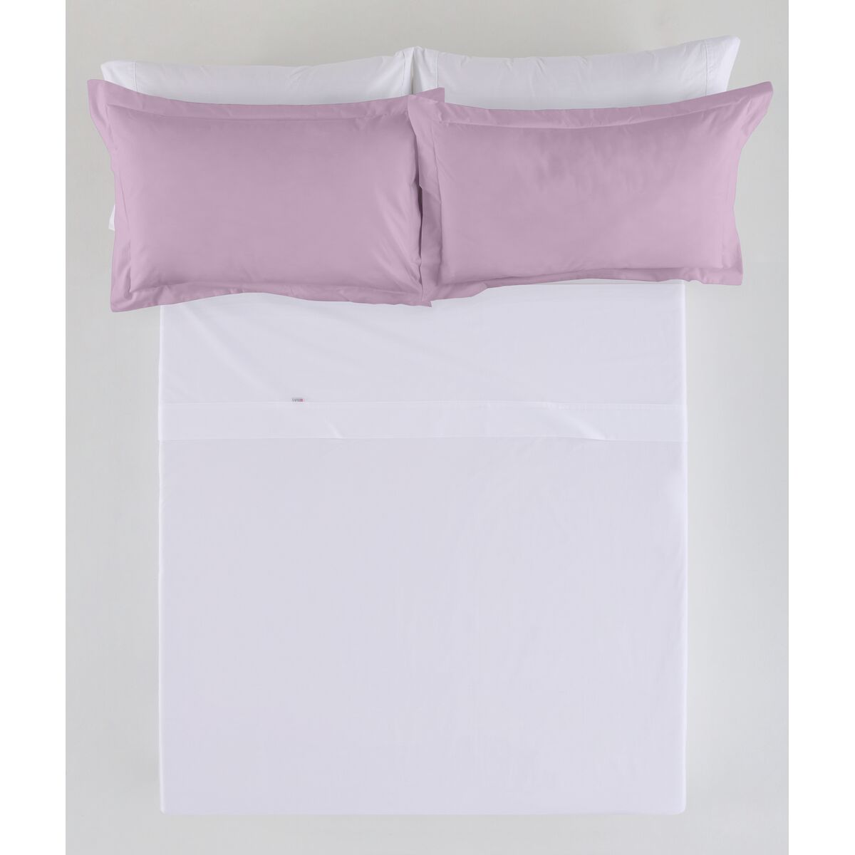 בית אלכסנדרה מכסה כרית חיה מאלבה 55 x 55 + 5 ס 