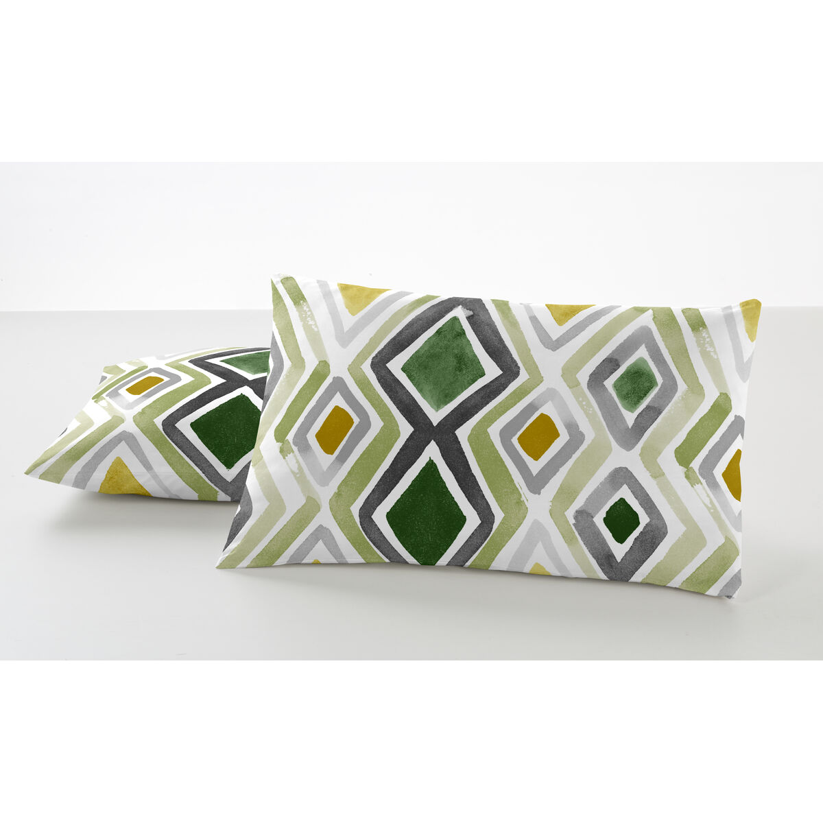 אלכסנדרה בית חי מרסי ציפית צבעונית 50 ס 