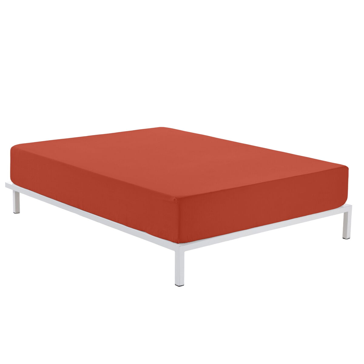 Fitted sheet Alexandra House Living ground 90 x 200 cm-5