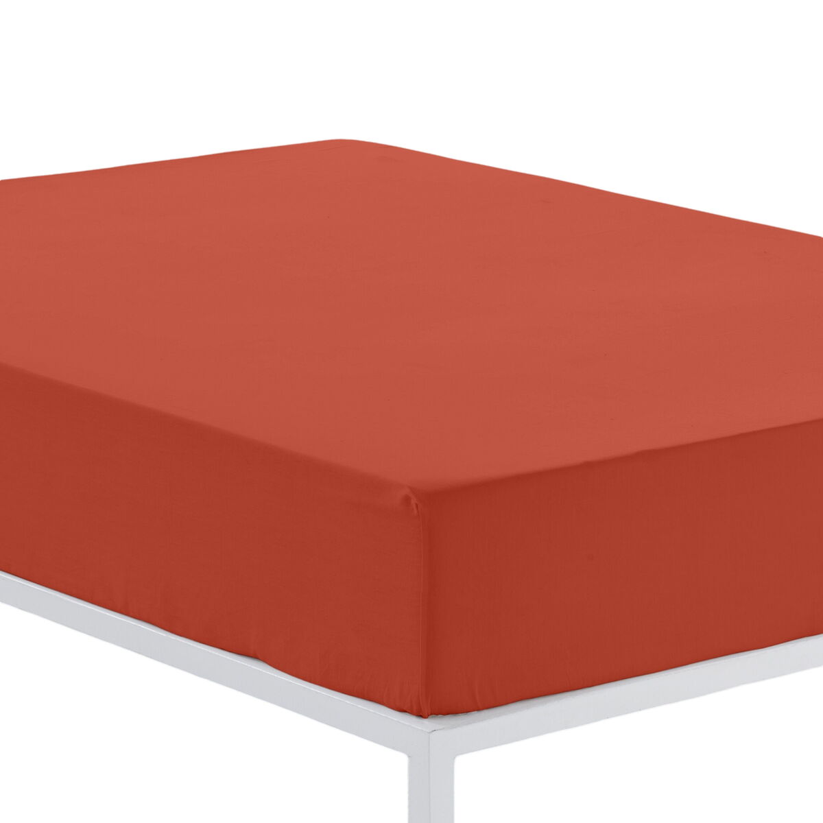 Fitted sheet Alexandra House Living ground 90 x 200 cm-6