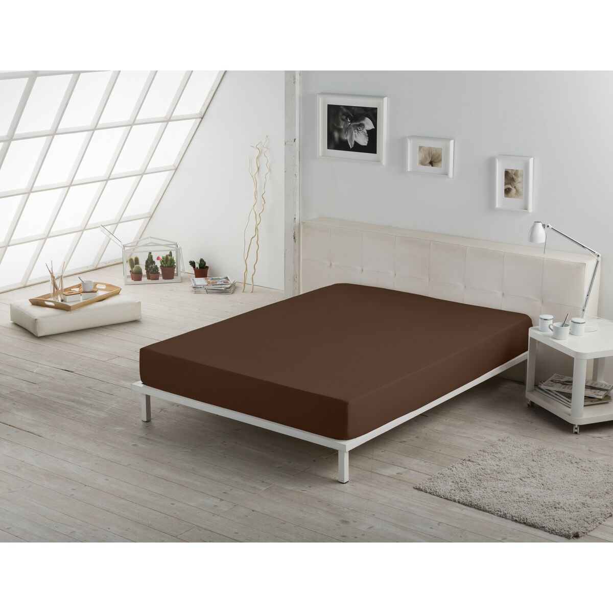 Foglia infiammata Alexandra House Living Cafe-4