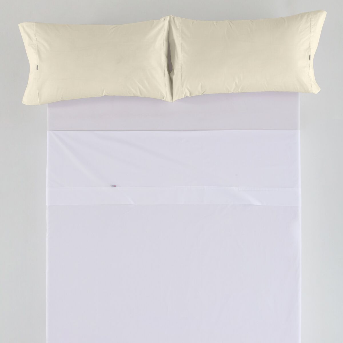 ציפית קרם חיים מבית אלכסנדרה (2 חתיכות)-3