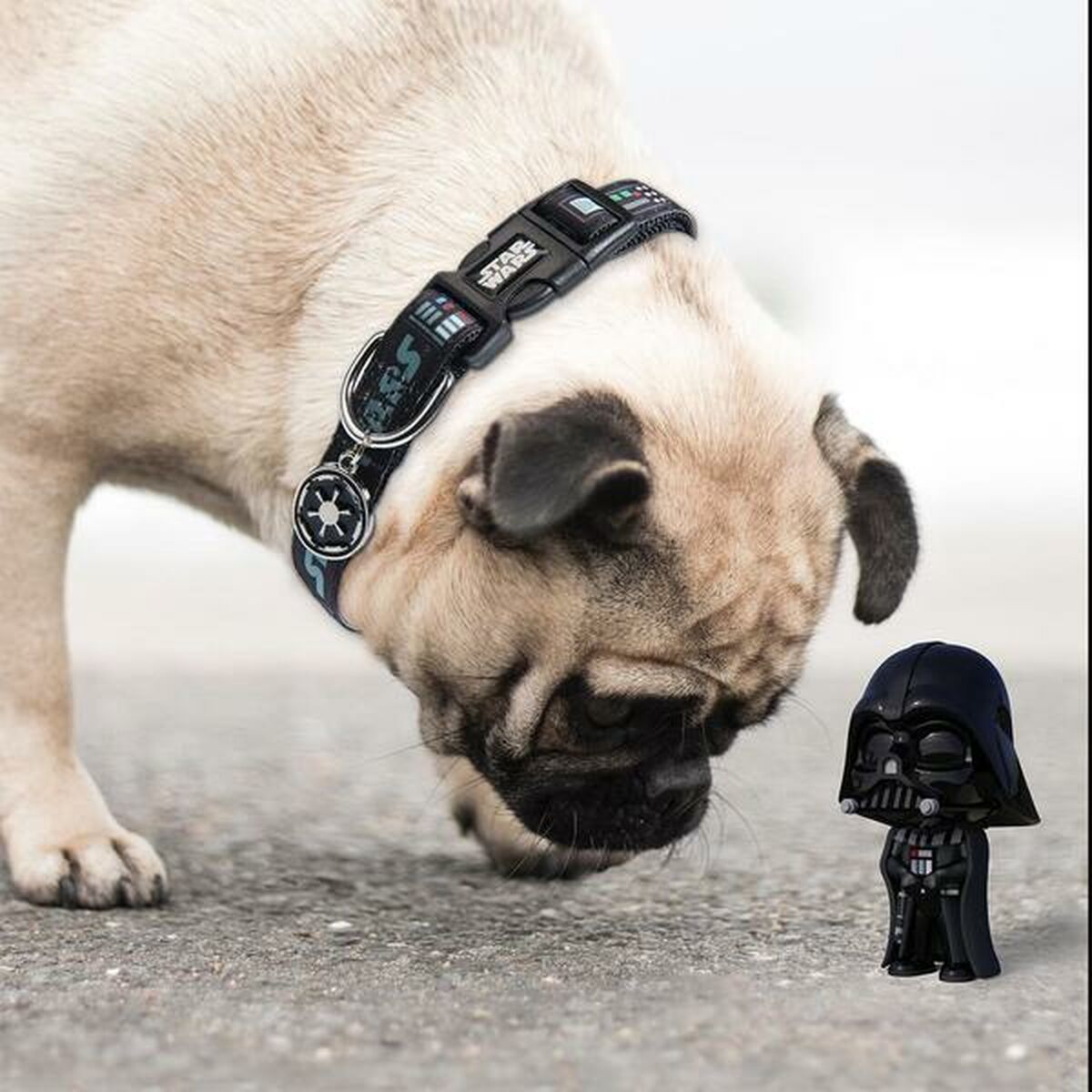 Собачий ошейник Star Wars Чёрный S/M-8