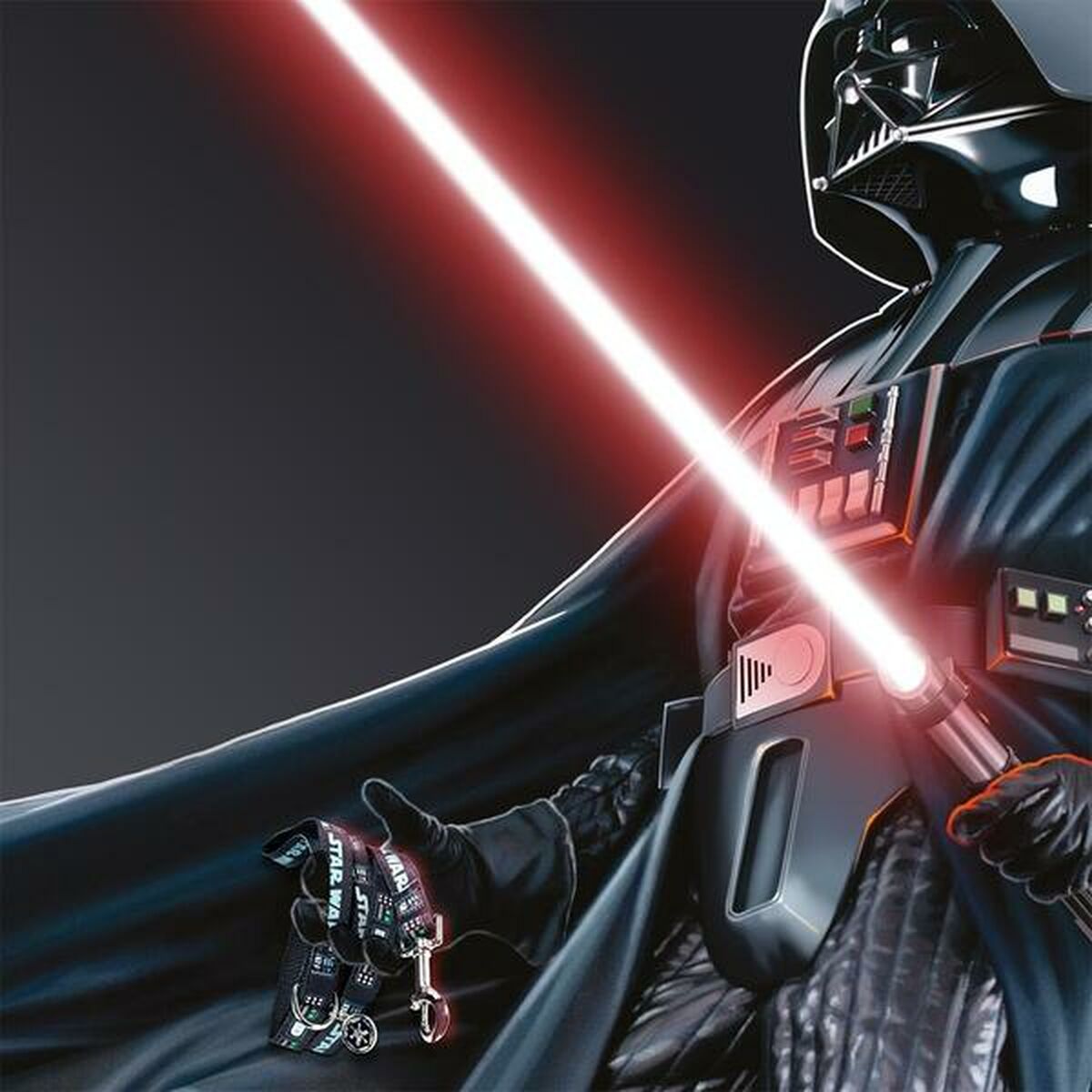 Поводок для собак Star Wars Чёрный S-8