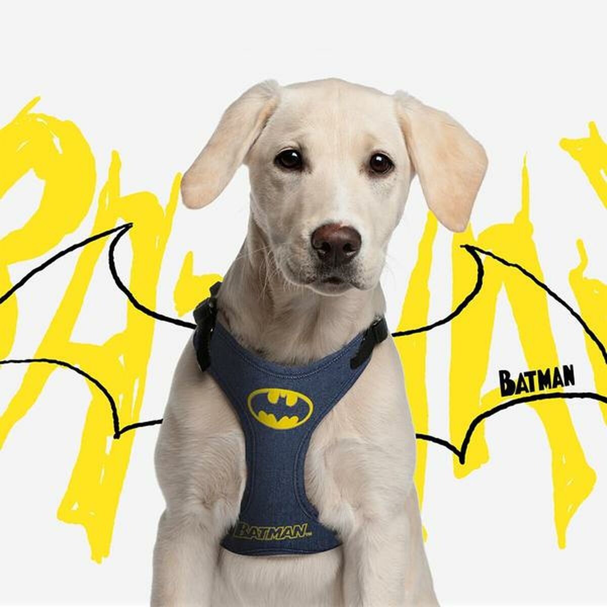 Упряжь для собак Batman Синий XS/S-4
