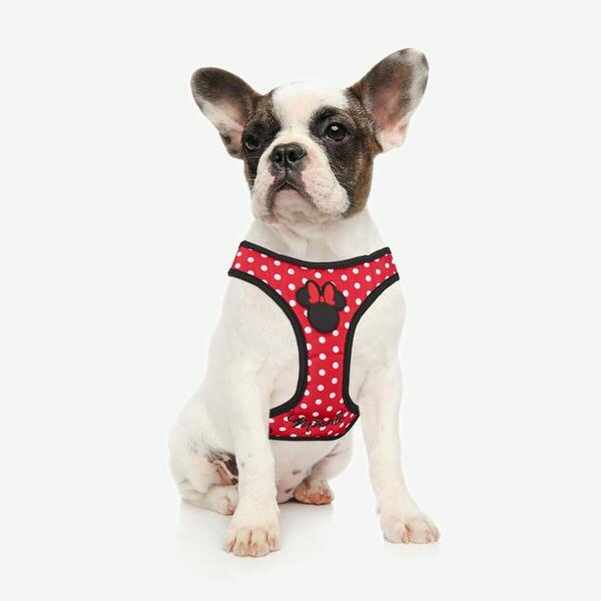 Упряжь для собак Minnie Mouse XXS/XS Красный-2