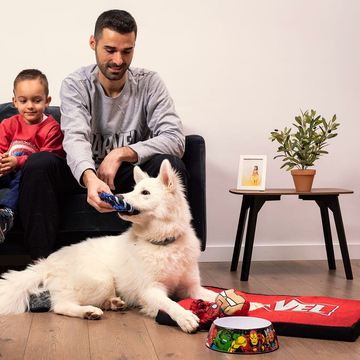 Кровать для собаки Marvel Разноцветный-4