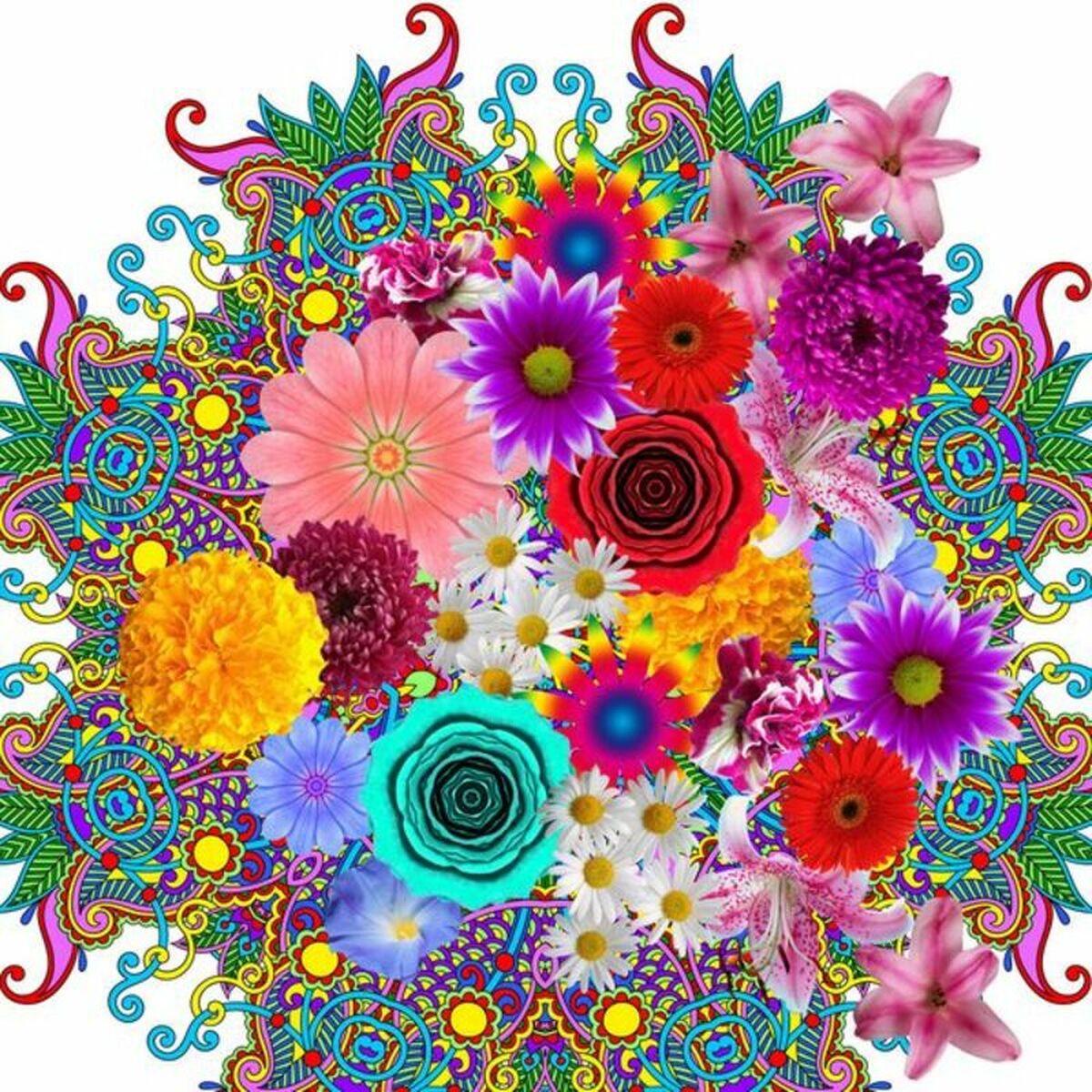 Icehome Snora的代客-2