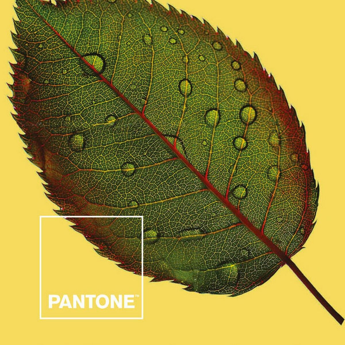 Мешок Nordic без наполнения Nature Pantone-3