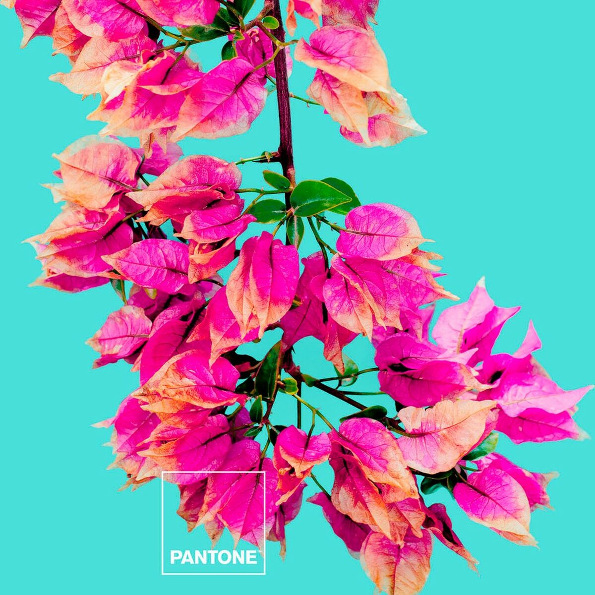 Мешок Nordic без наполнения Bugnavilla Pantone-3