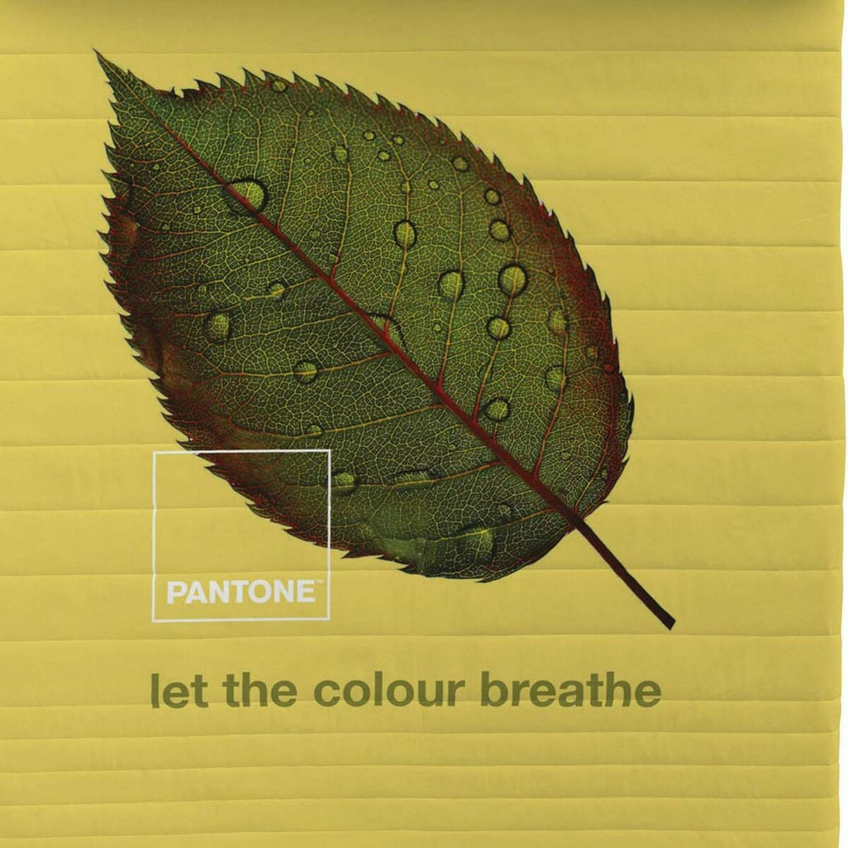 Постельное покрывало Nature Pantone-2