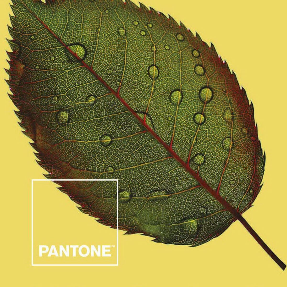 Постельное покрывало Nature Pantone-4