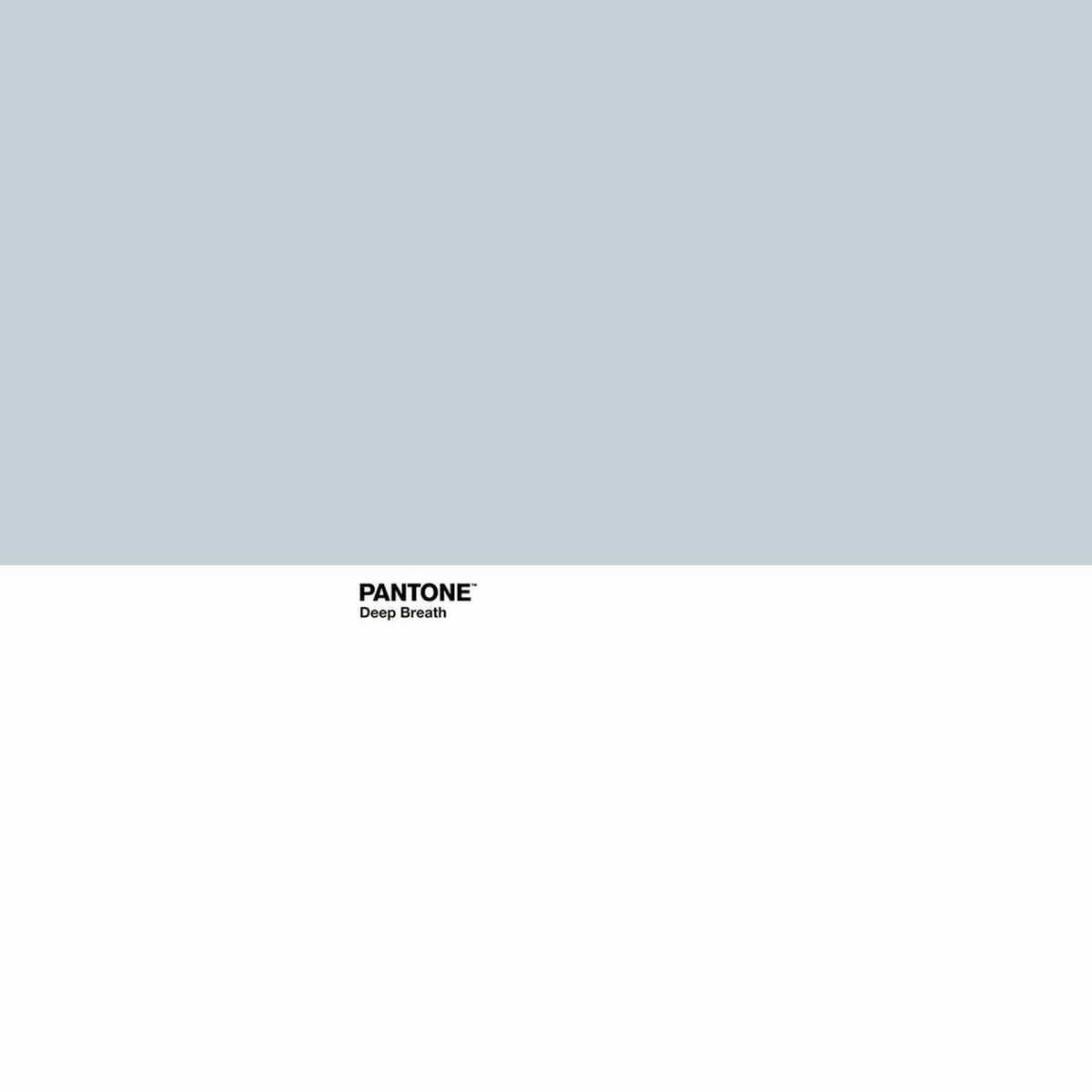 Постельное покрывало Deep Breath Pantone-2