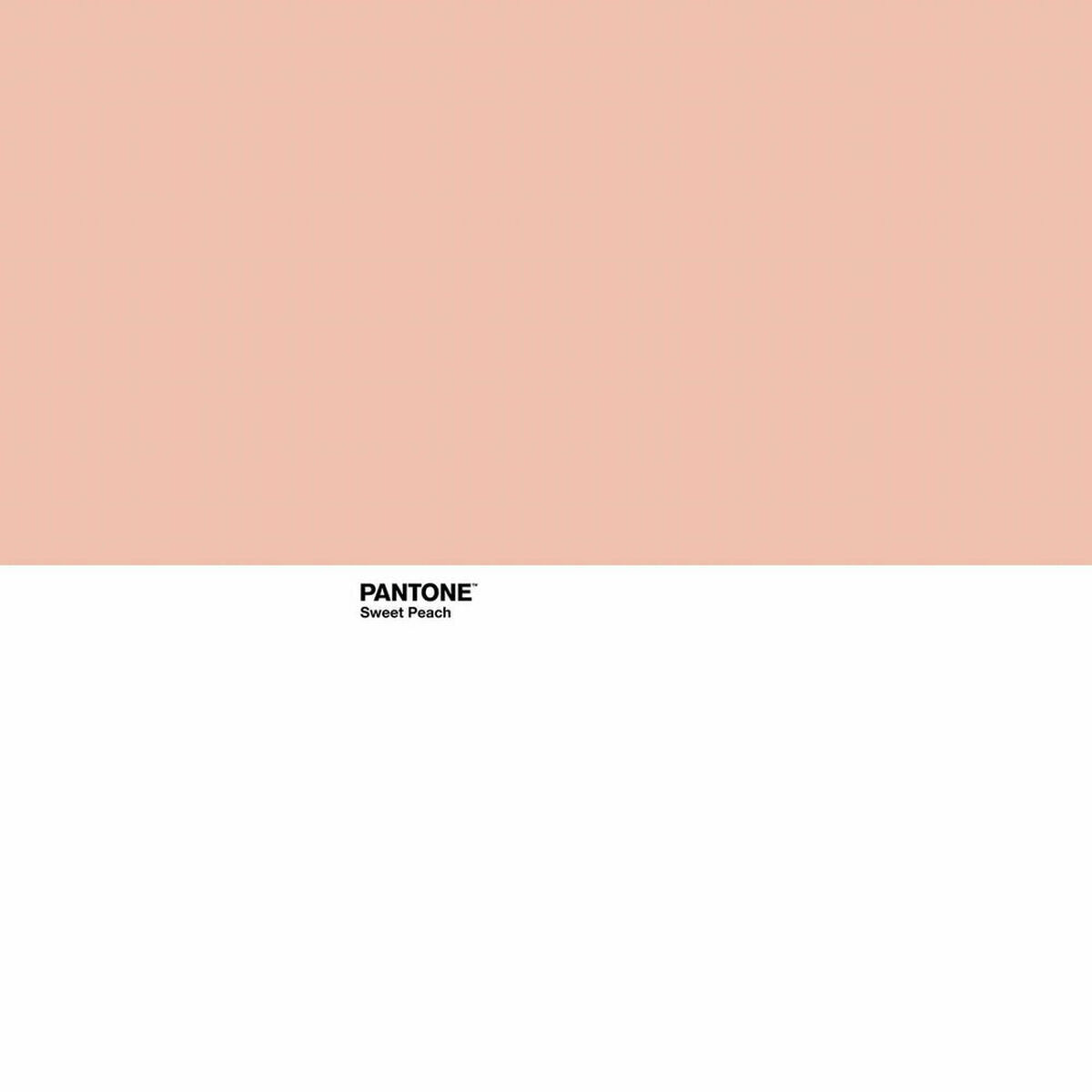 Постельное покрывало Sweet Peach Pantone-2