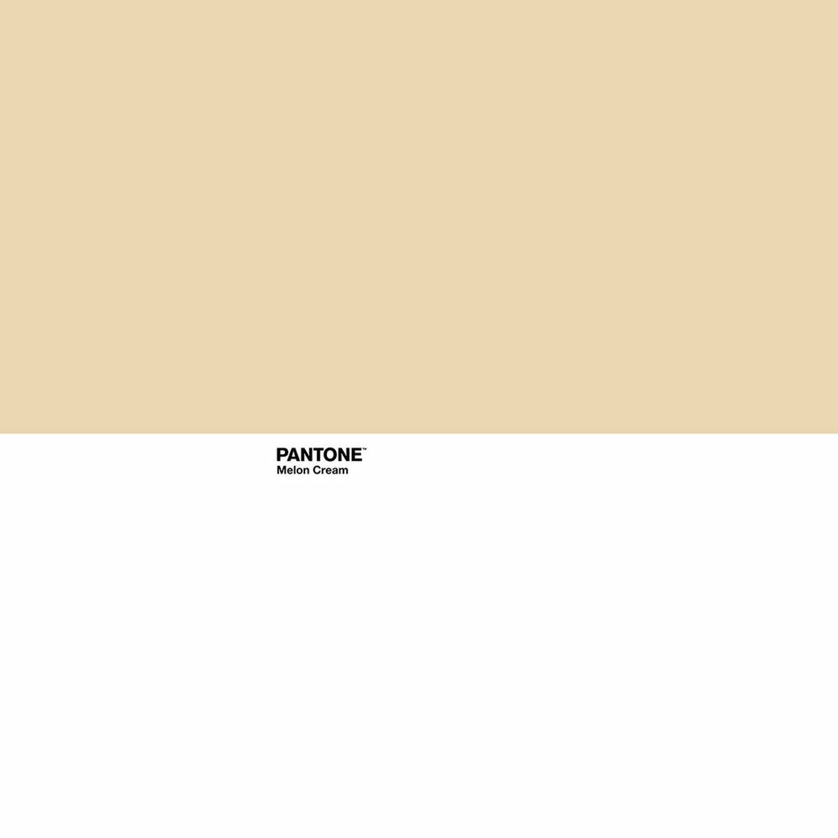 Pantone Melon Cream 135張床（220 x 220 cm）-2