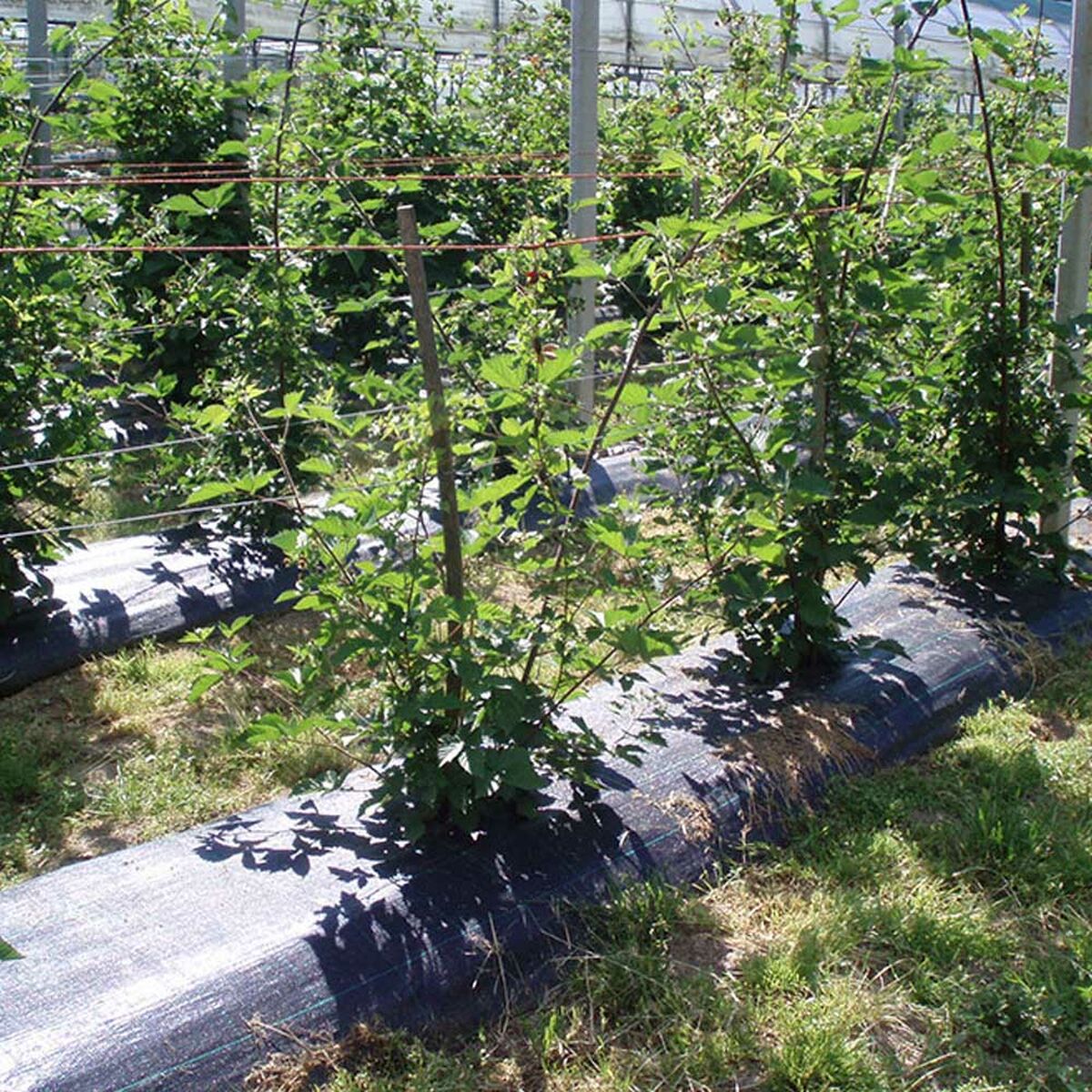 Сетка от сорняков Fun&Go 1 x 100 m-2