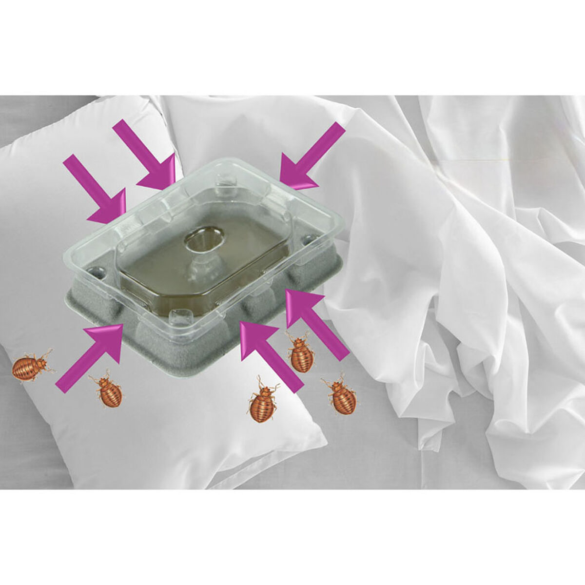 Ловушка для насекомых Weitech Постельные клопы 4 штук-3