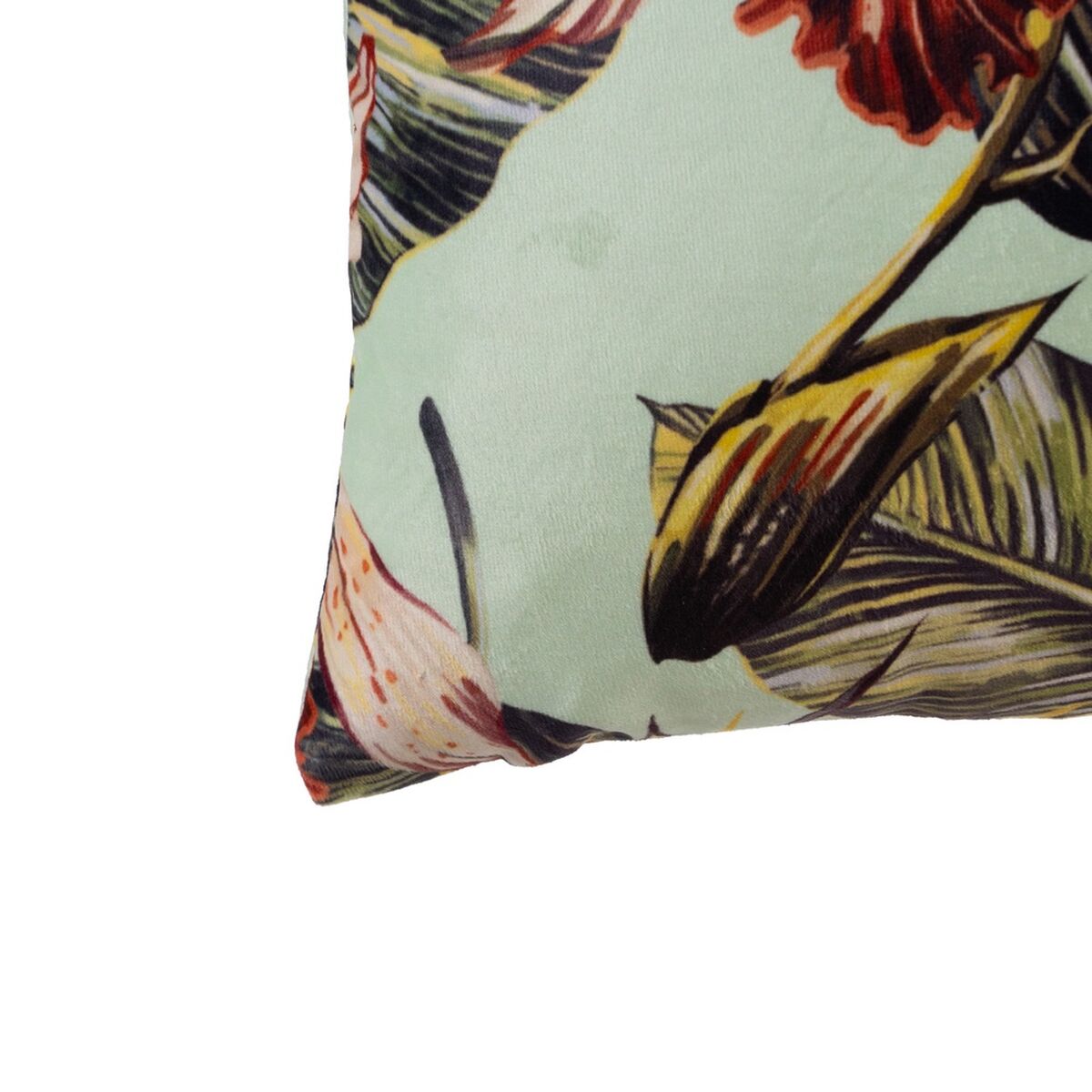 סחלב כרית 50 x 30 ס 