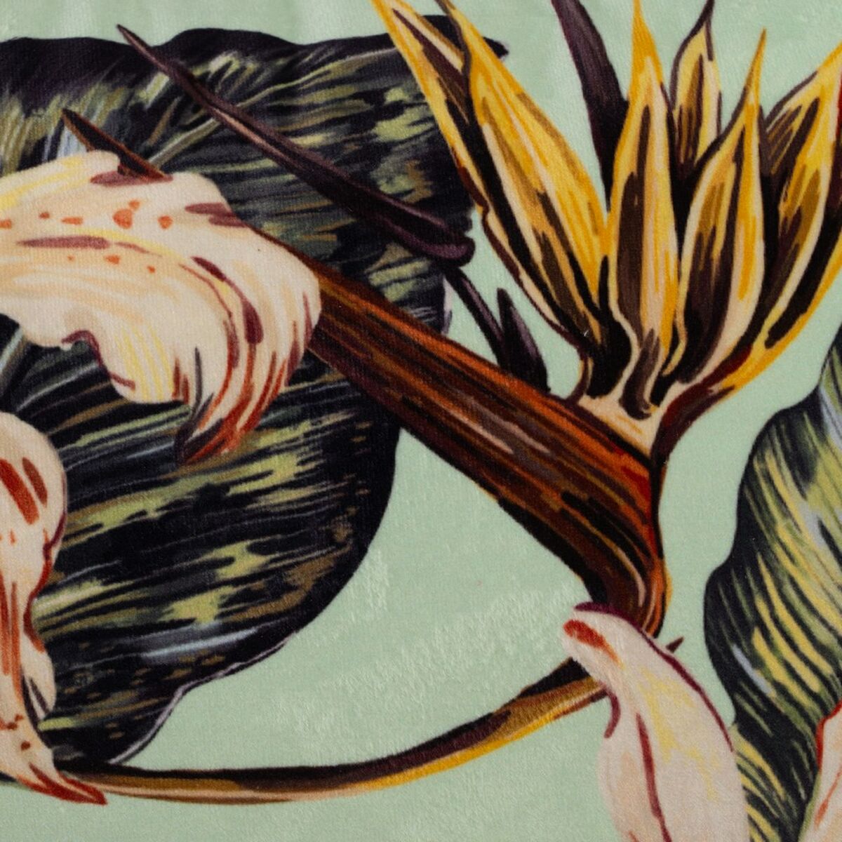 סחלב כרית 50 x 30 ס 