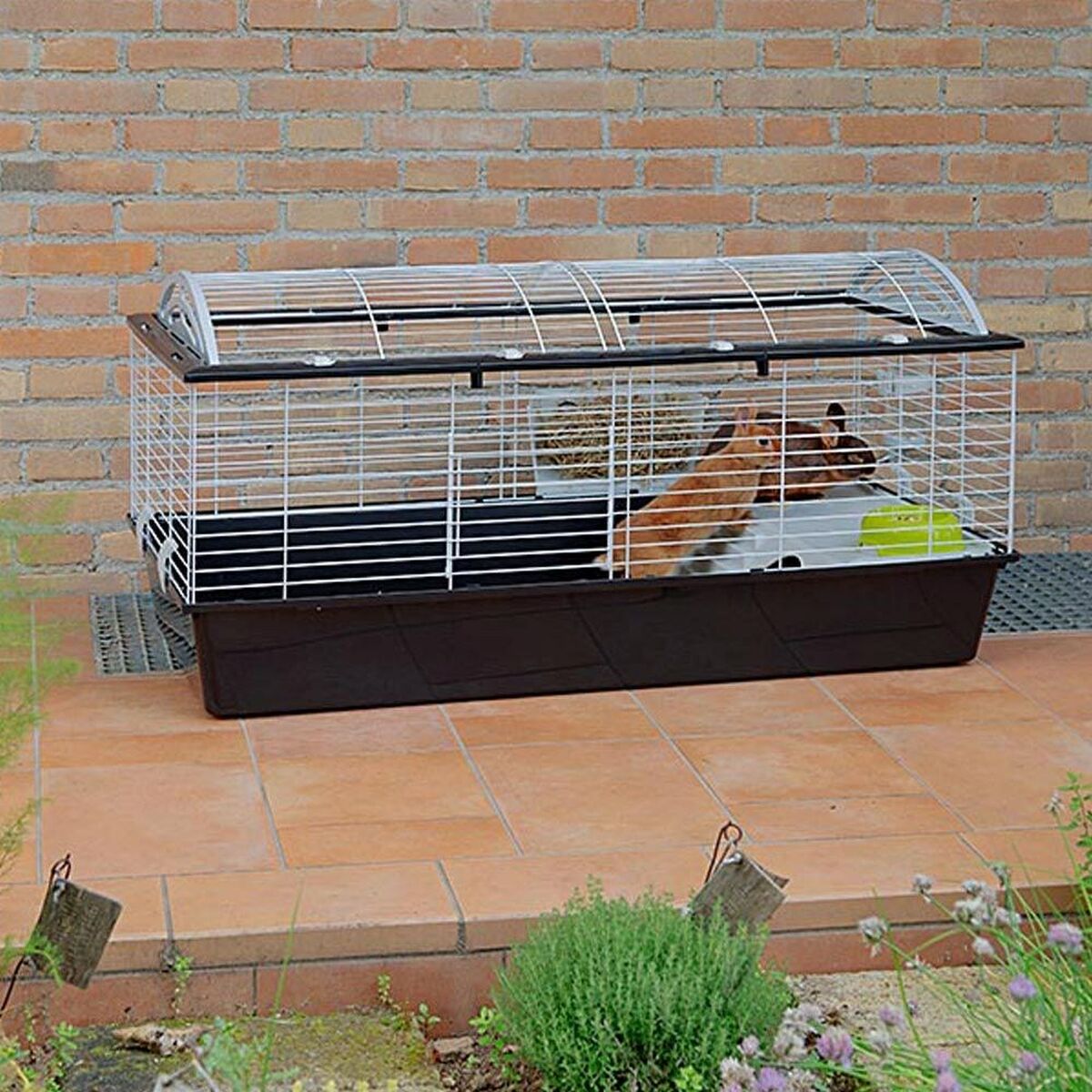 Клетка Ferplast Металл Пластик 119 x 60 x 58 cm-3