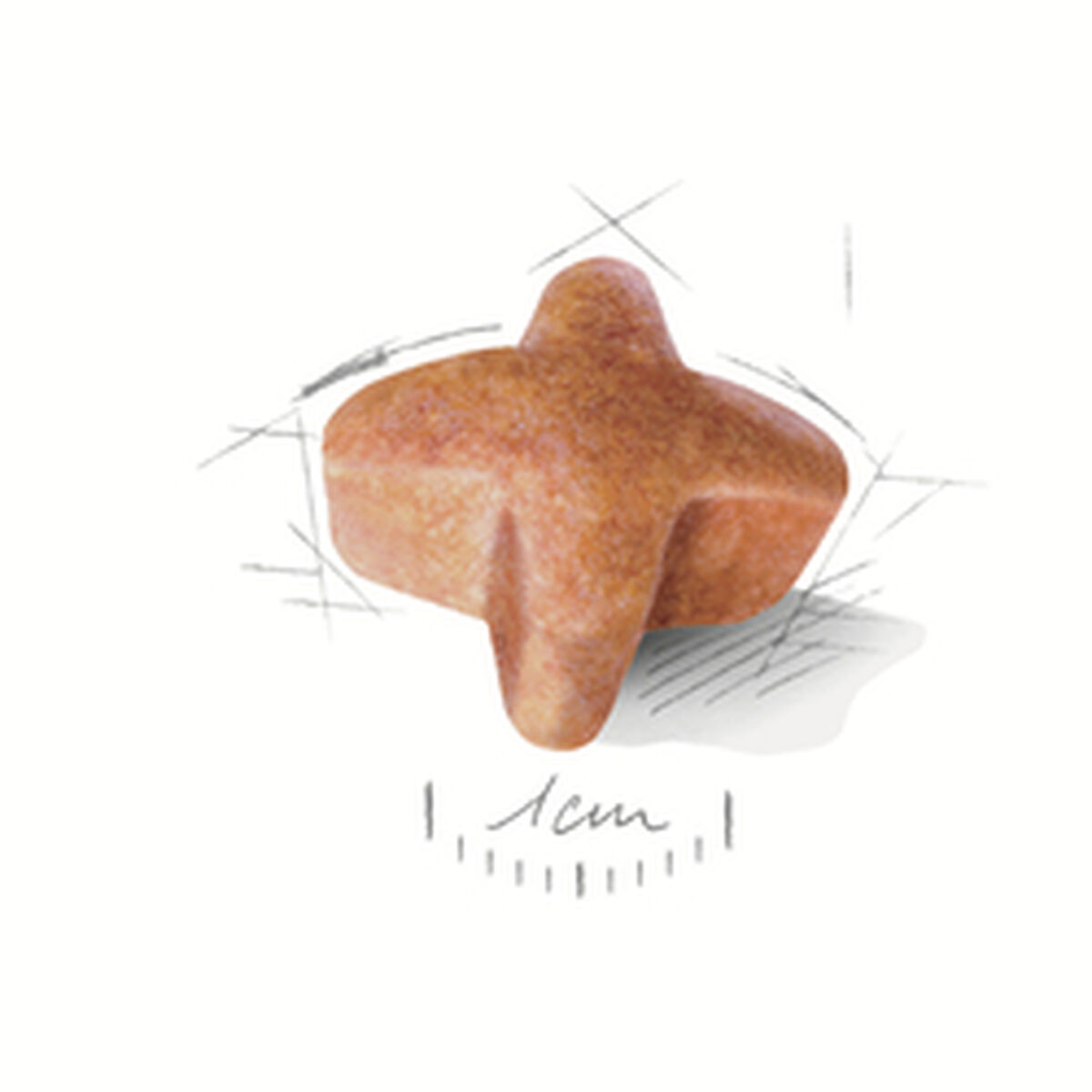 Фураж Royal Canin German Shepherd Adult 11kg Для взрослых Растительный 11 Kg-2