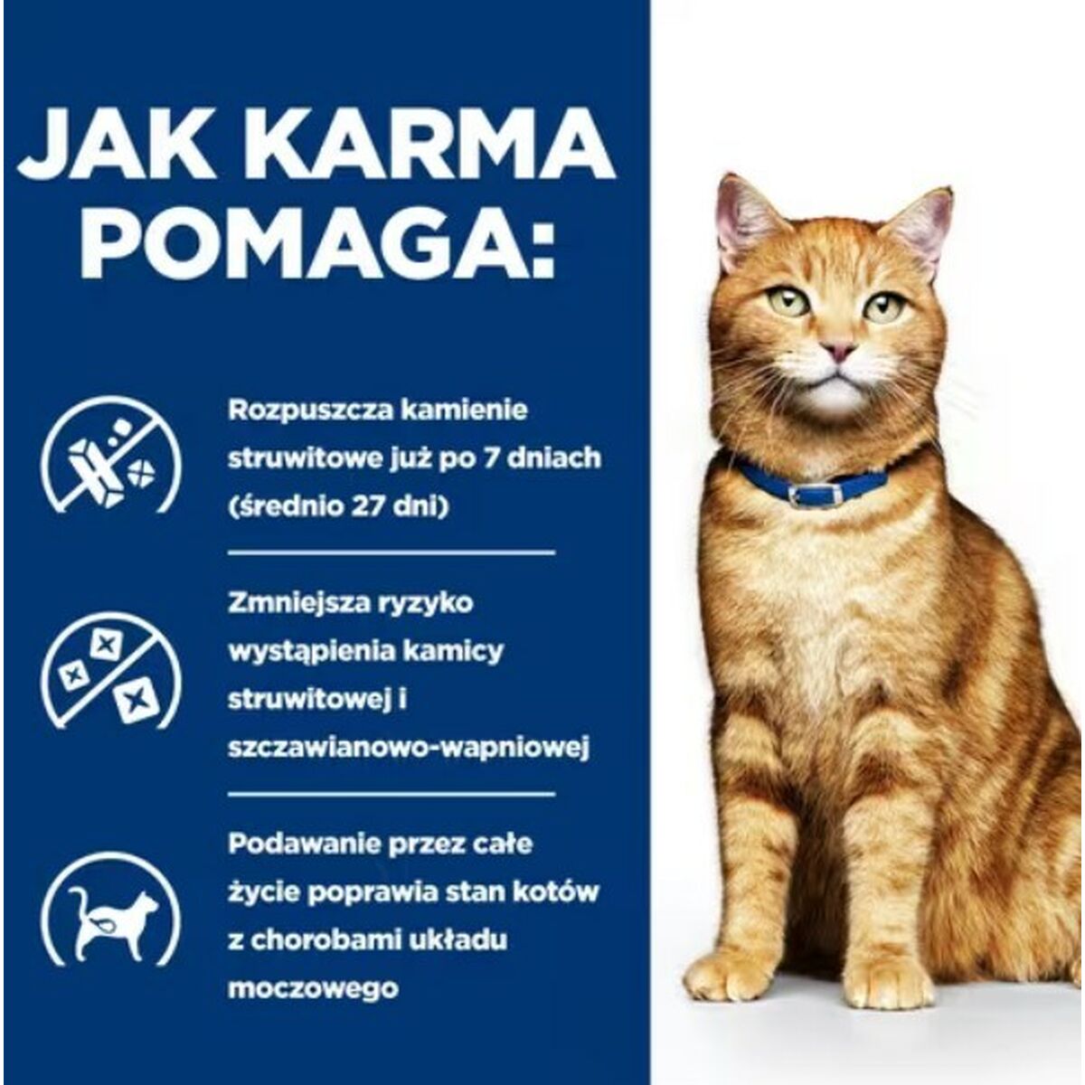 Корм для котов Hill's PD C/D Urinary Care Курица 3 Kg-3