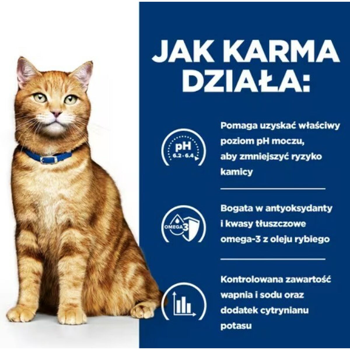 Корм для котов Hill's PD C/D Urinary Care Курица 3 Kg-4
