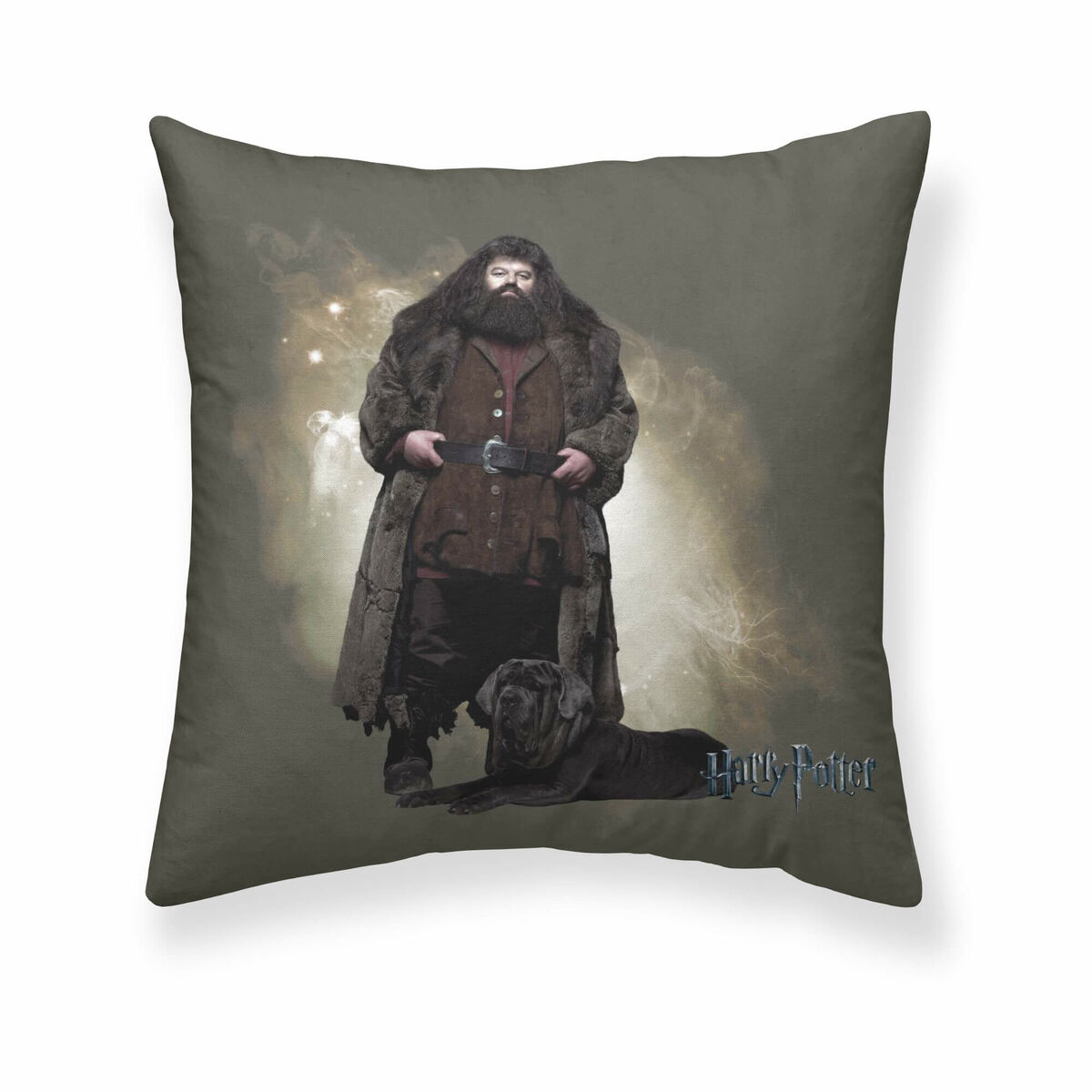 Harry Potter Hagrid Kissenbezug 50 x 50 cm