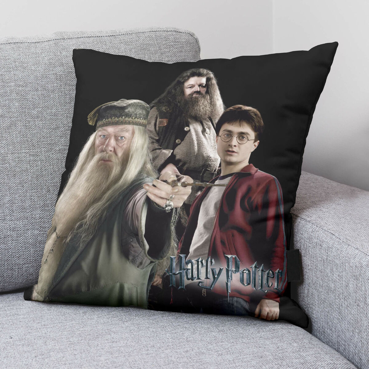 Harry Potter Team 50 x 50 cm Pillow Case-2
