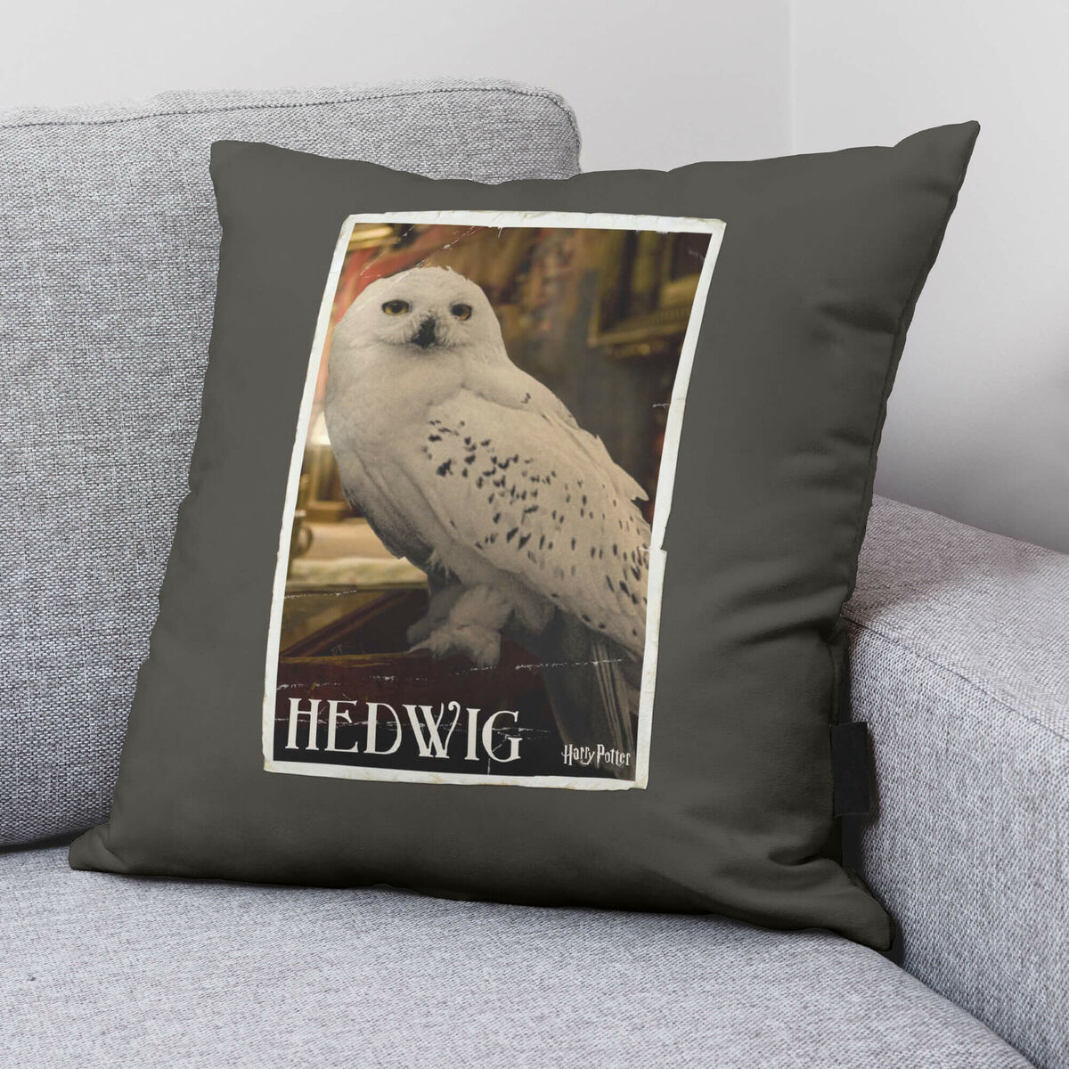 הארי פוטר הדוויג 50 x 50 ס 