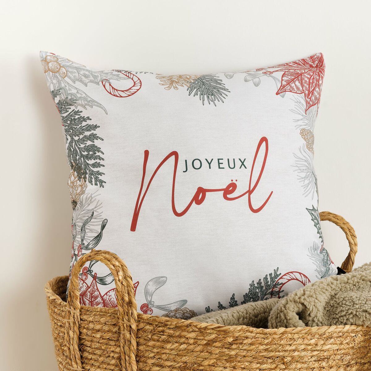 בלום לפוניה 50 x 50 ס 