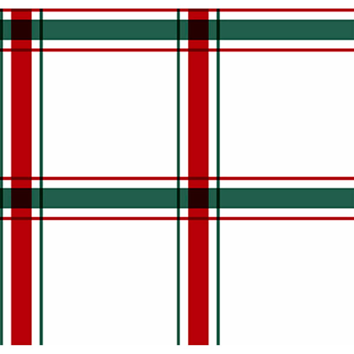 בלום לפוניה 50 x 50 ס 