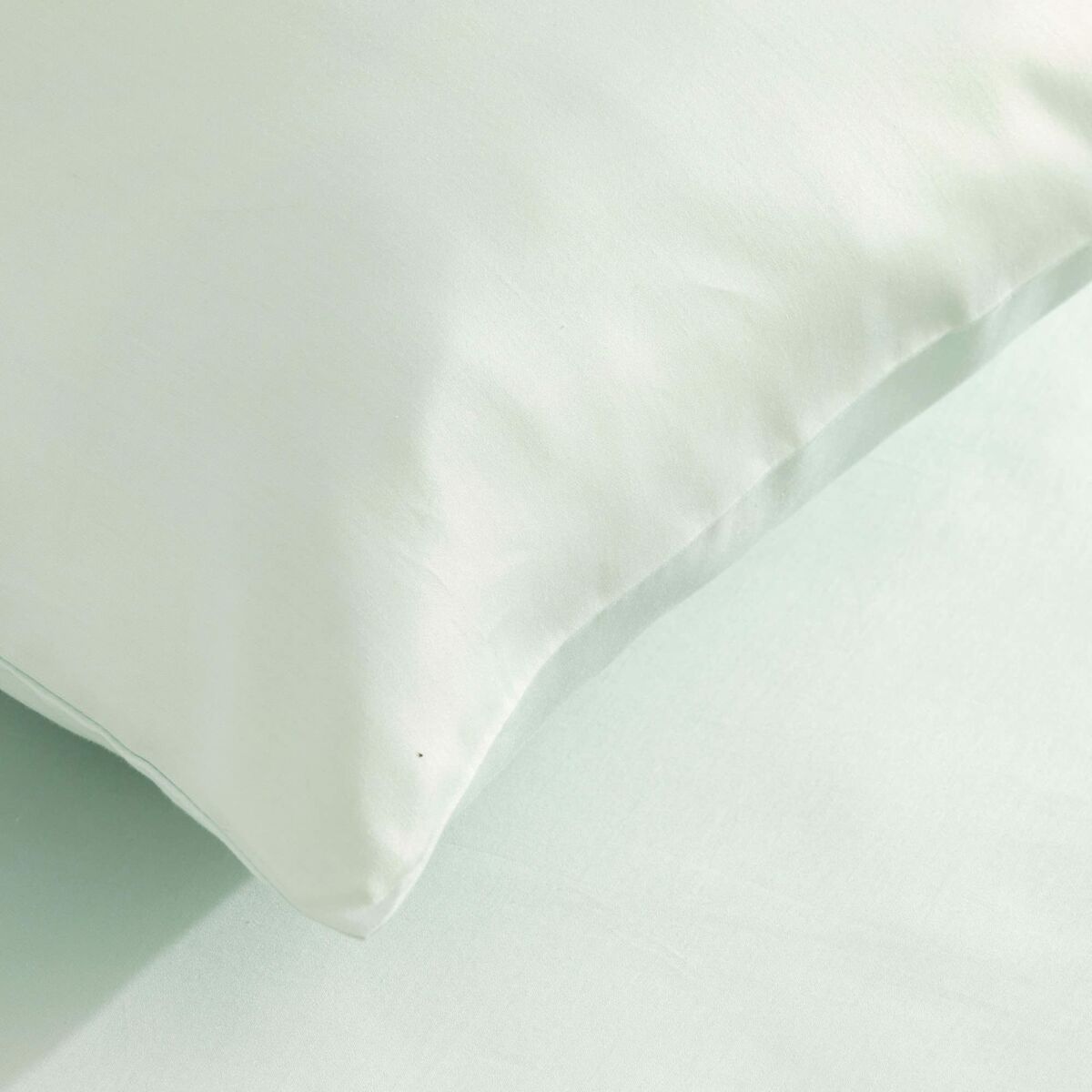 ציפית SG הוגר מנטה 80 x 80 ס 