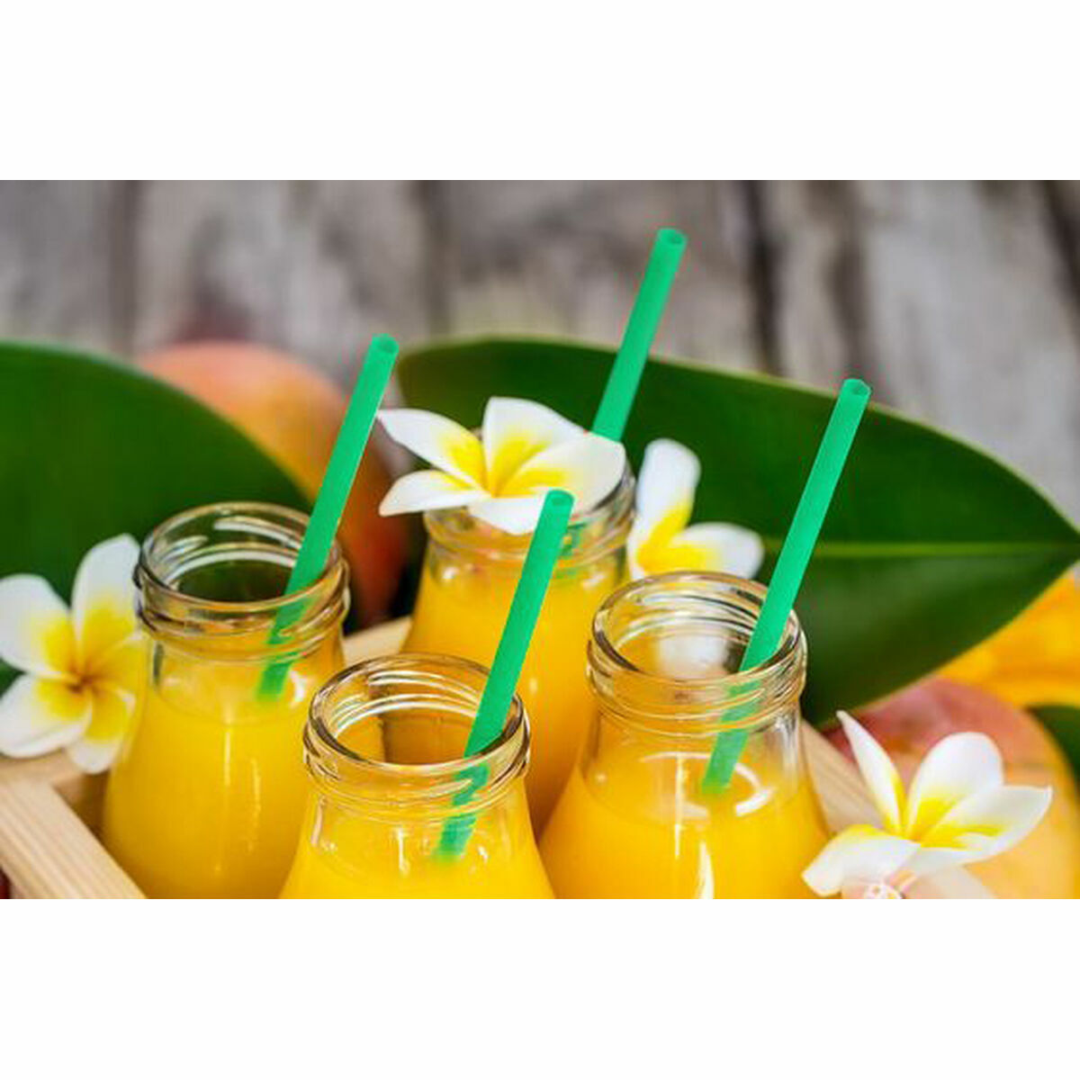 Gaýtadan ulanylýan saman Algon Köp reňkli plastmassa 36 bölek 22 sm 6 mm-4