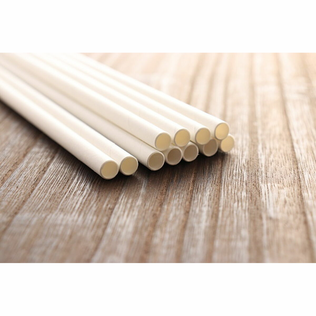 एल्गॉन ने कार्डबोर्ड व्हाइट 25 आइटम 24 टुकड़े किए-2