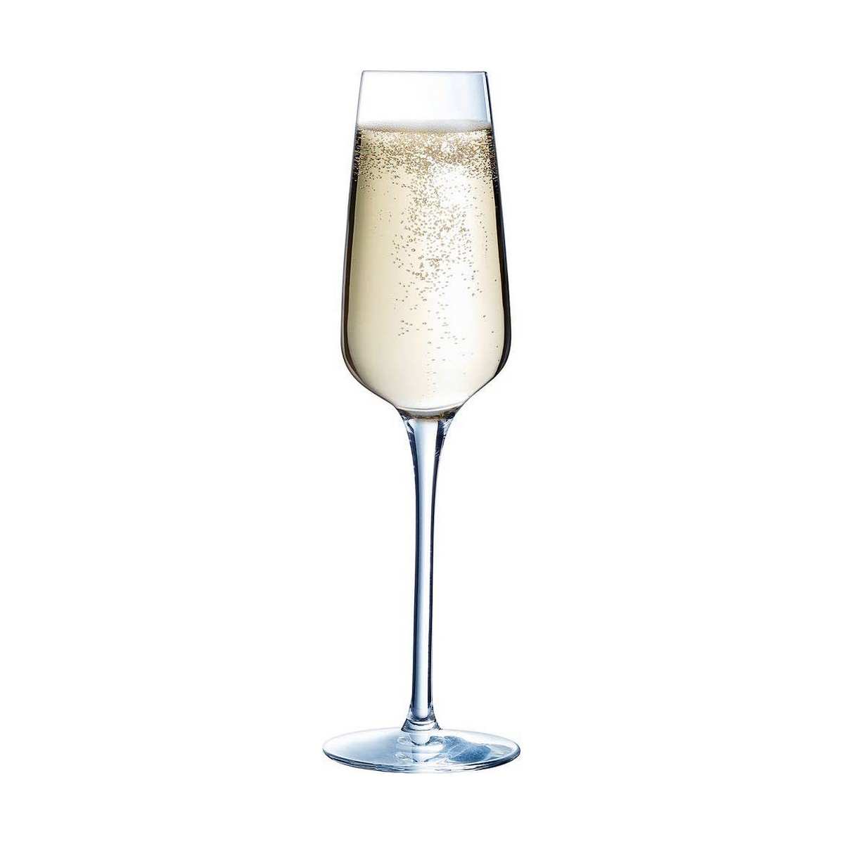 Chef & Sommelier Champagne Glass 6 조각 Clear Glass (21 cl)-4