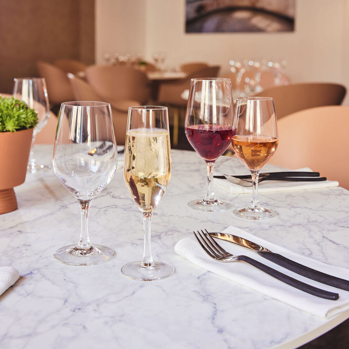 Chef & Sommelier Evidence мөлдір шыны 270 мл шарап 6 дана-4