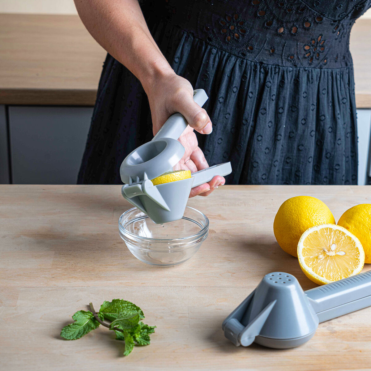 Juicer Quid Rico Grey Plastic 20.5 x 9 cm Instruction-5