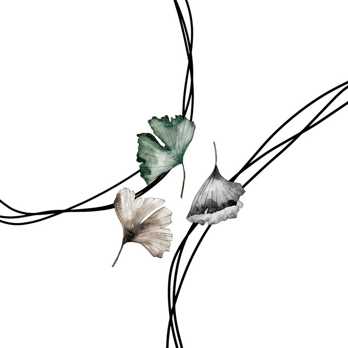 Naturals 265147 135/140 Bed Duvet Cover (220 x 220 cm)-4