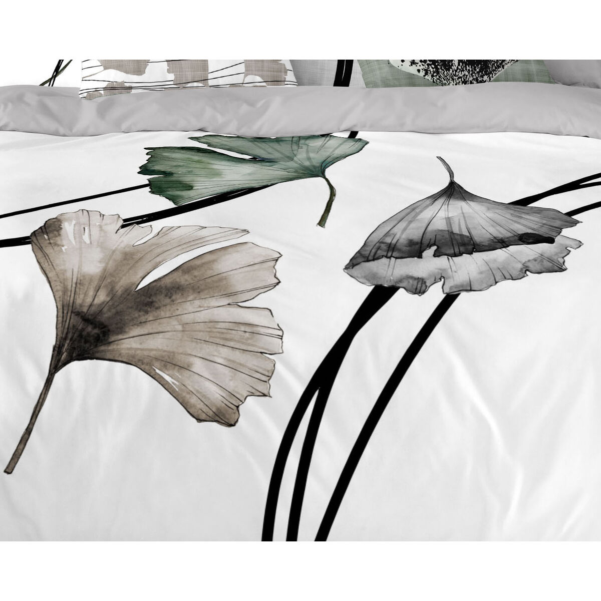 Naturals 260 x 220厘米-5