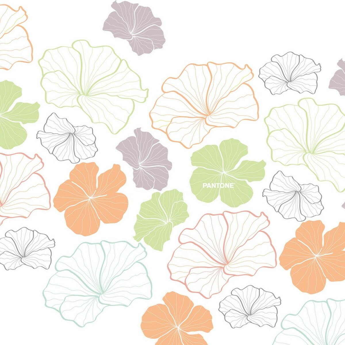 Pantone Shapeshifters 150/160床（240 x 220 cm）-3