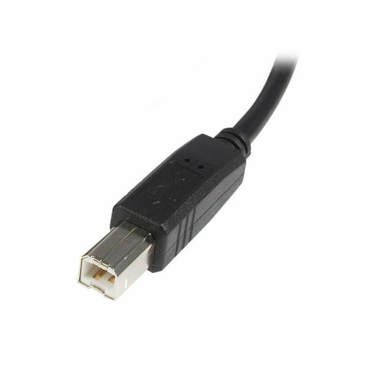 USB A Cable - USB B Startech USB2HAB5M Black-3