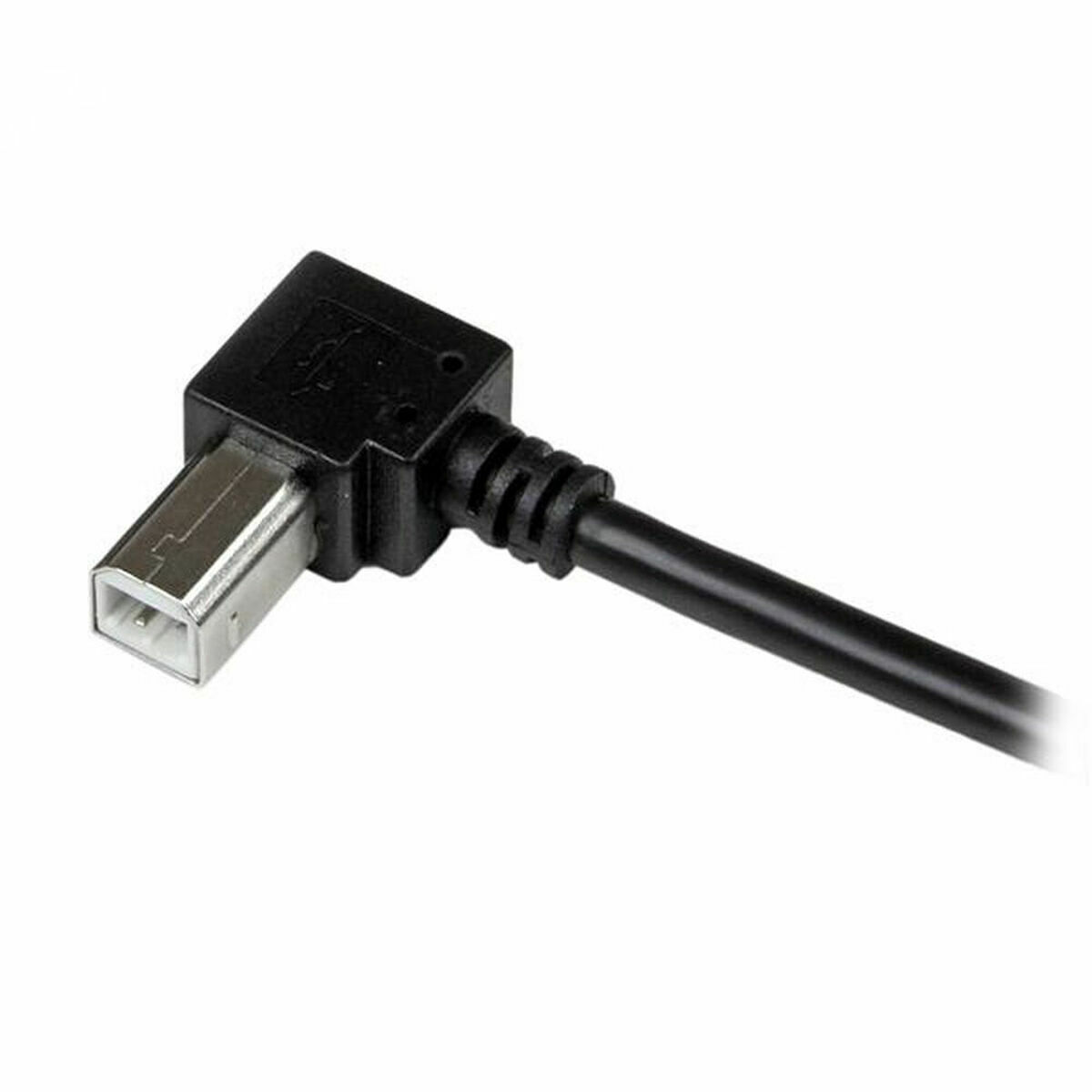 USB A Cable - USB B Startech USBAB1MR Black-2