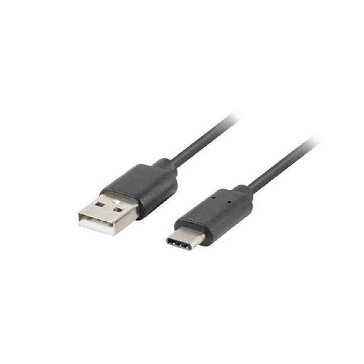 USB A cable 2. 0 - USB C Lanberg Black-2