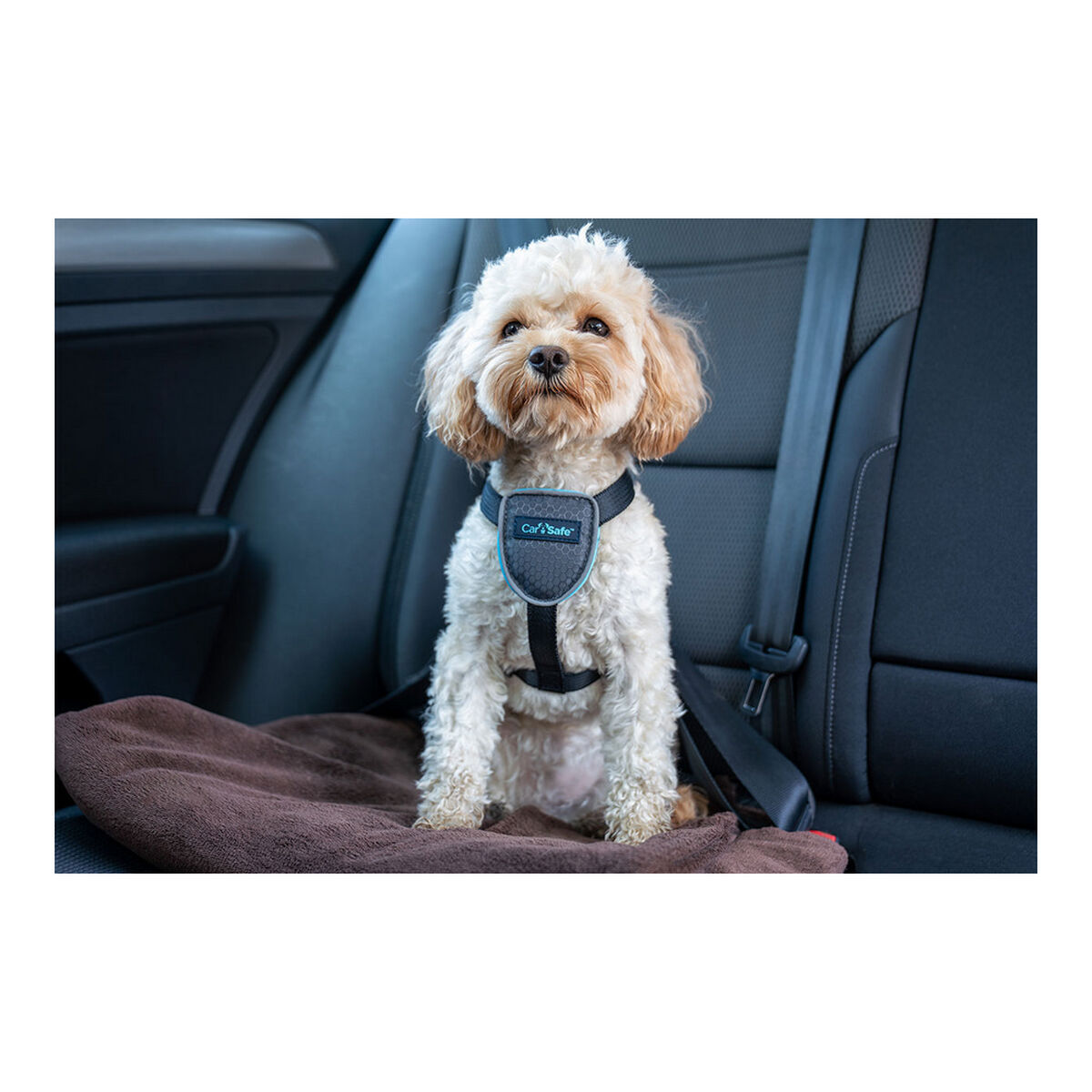Dog Harness Company of Animals CarSafe Black Size M-8